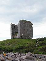Irlande, Co Kerry, Dingle, Minard castle (2)